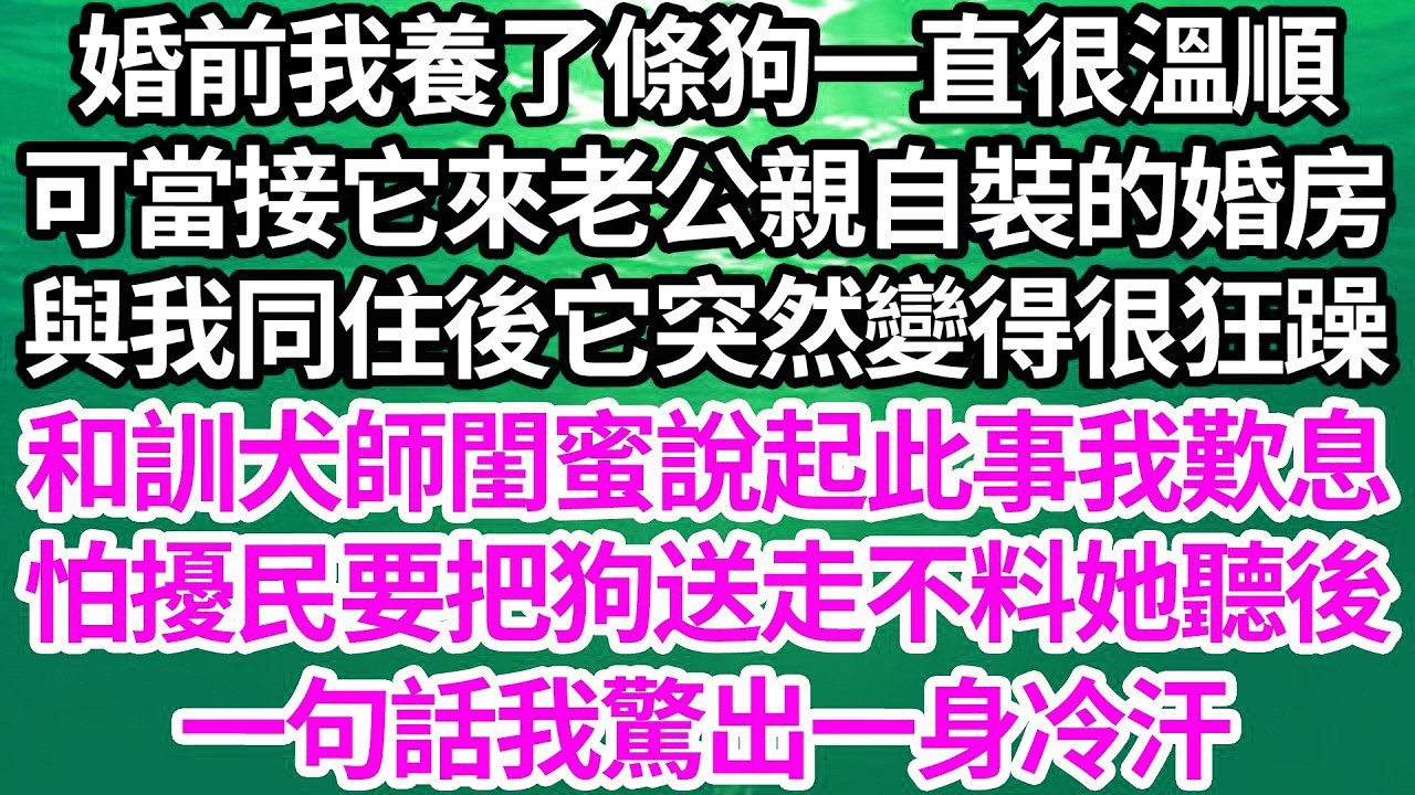 婚前我養了條狗一直很溫順，可當接它來老公親自裝的婚房，與我同住後它突然變得很狂躁，和訓犬師閨蜜說起此事我歎息，怕擾民要把狗送走不料她聽後，一句話我驚出一身冷汗【倫理】【都市】
