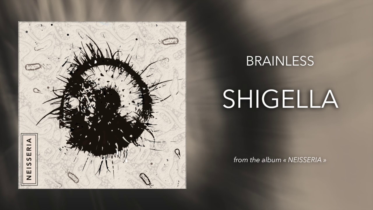 1. Brainless - Shigella