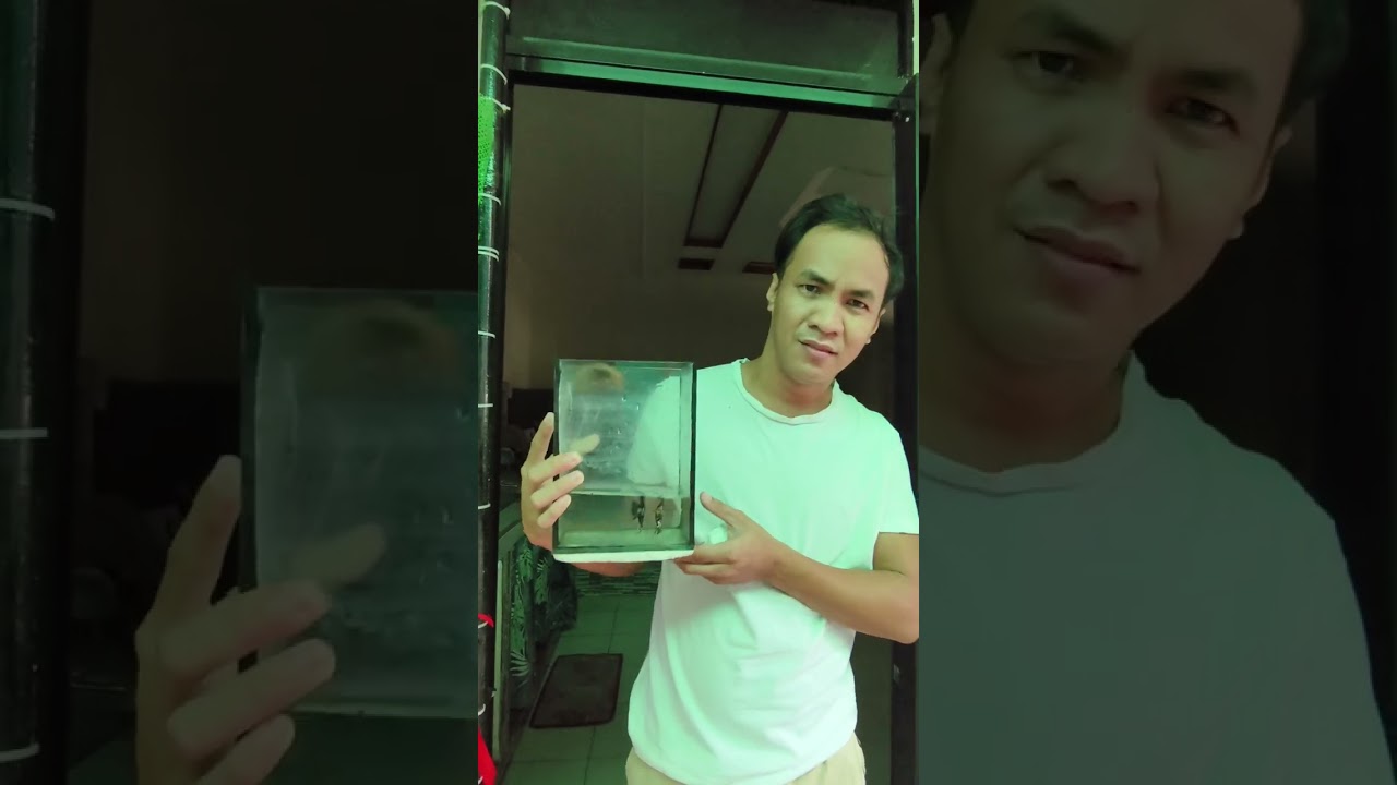 Sobrang lungkot naubos ang mga isda ko!