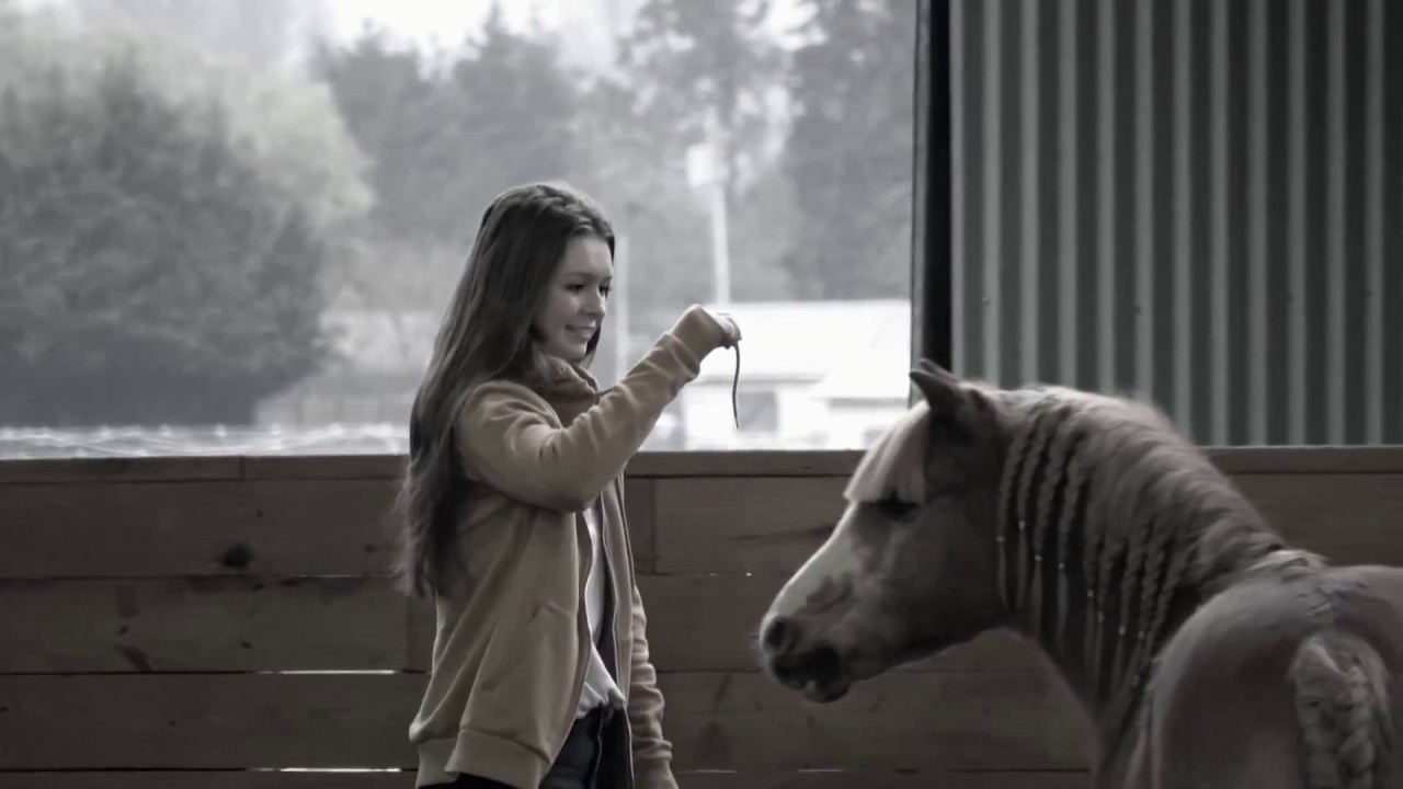 Horses Guiding Humans - Team Building
