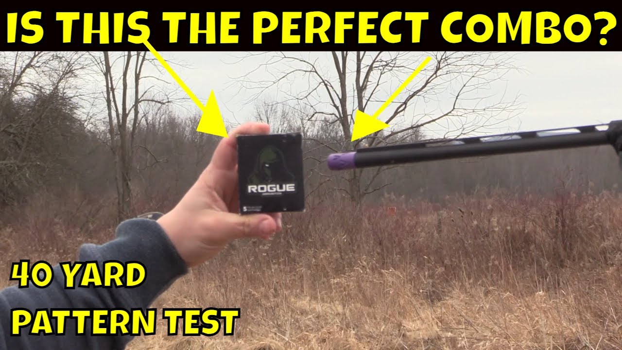 patterning the sa-410 with verdict gavel .380 & rogue ammo | bco review |