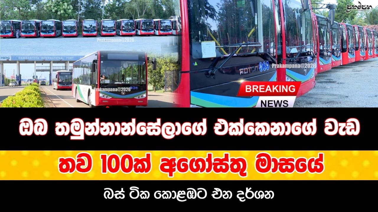 ඔබ තමුන්නාන්සේලාගේ එක්කෙනාගේ වැඩ | බස් ටික කොළඹට එන දර්ශන | තව 100ක් අගෝස්තු මාසයේ