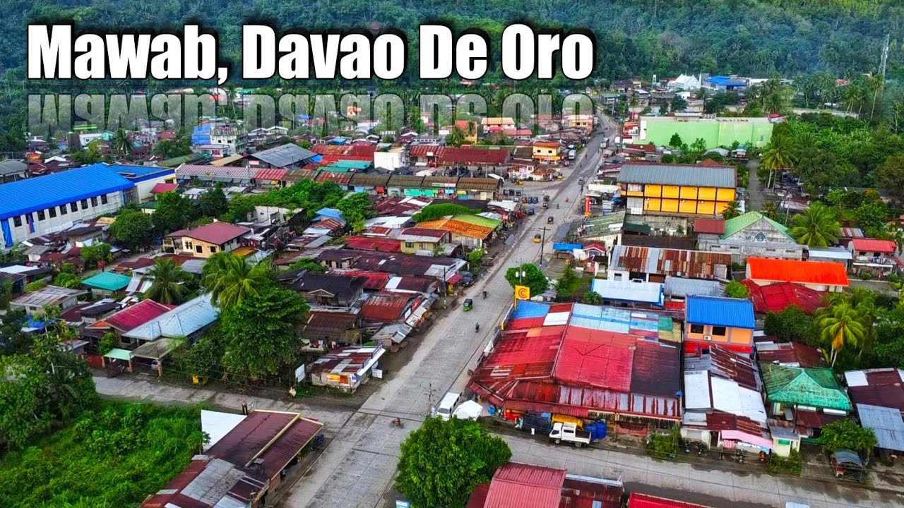 A quick tour @ Mawab, Davao De Oro before mag New Year 2023. We visited also the Mainit Waterfalls.