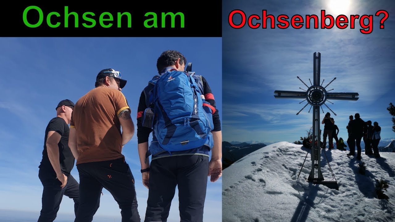 Ochsen am Ochsenberg??
