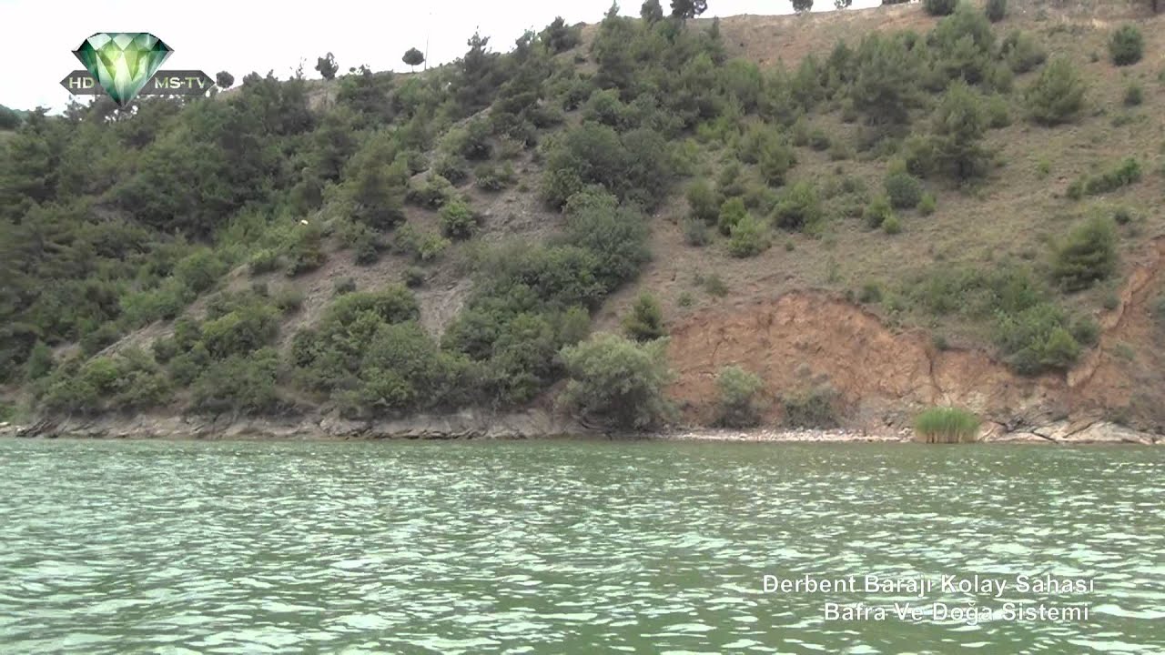 Derbent Barajı Kolay Sahası Bafra Ve Doğa Sistemi
