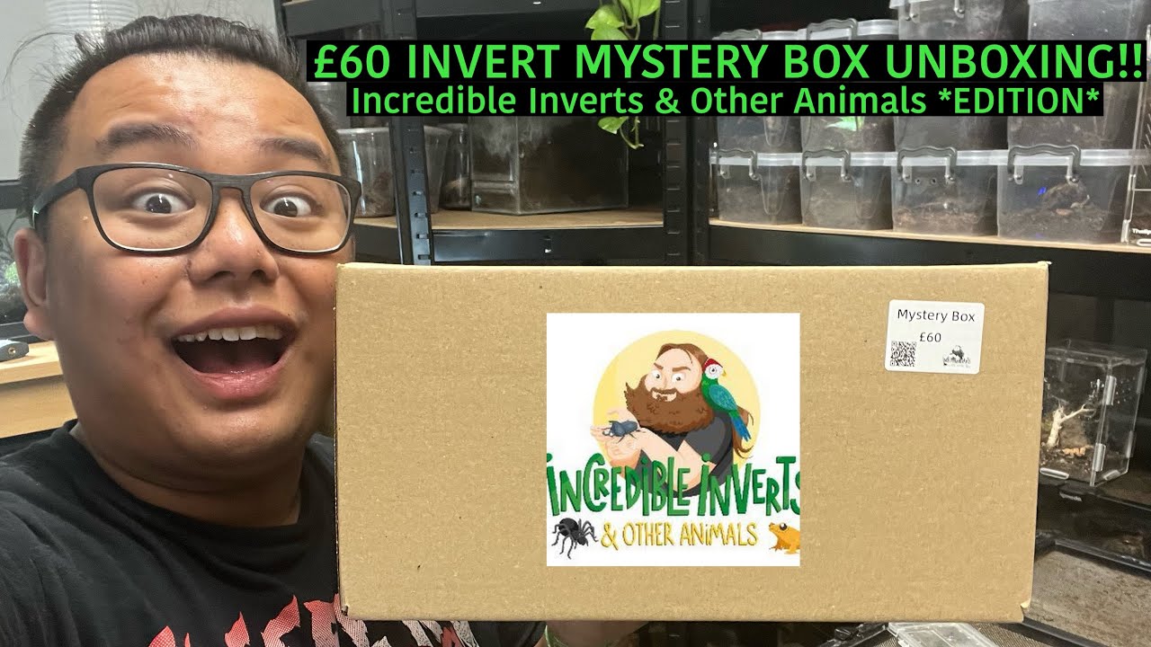 &pound;60 INVERT MYSTERY BOX UNBOXING!! Incredible Inverts & Other Animals *EDITION*