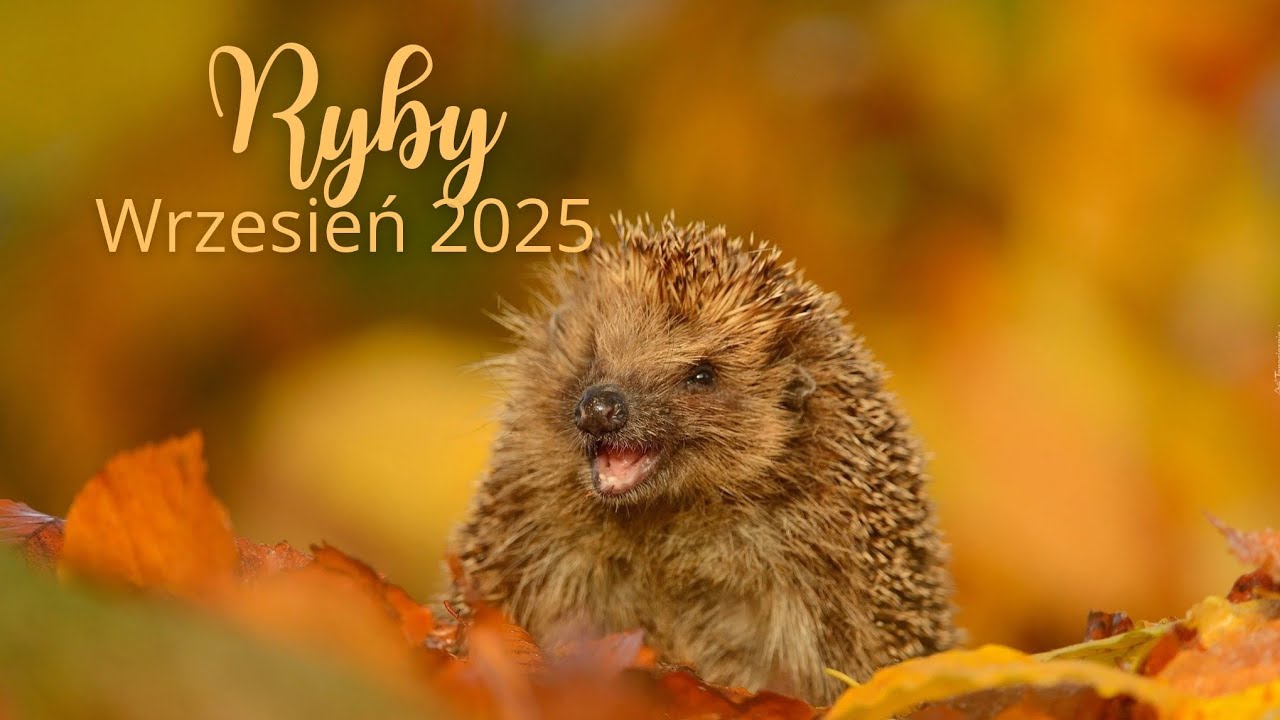 RYBY ♓ Wrzesień 2025 🍁 Bez względu na wszystko dąż do swojego celu! Nie pozwól się zgasić 🔥🔥