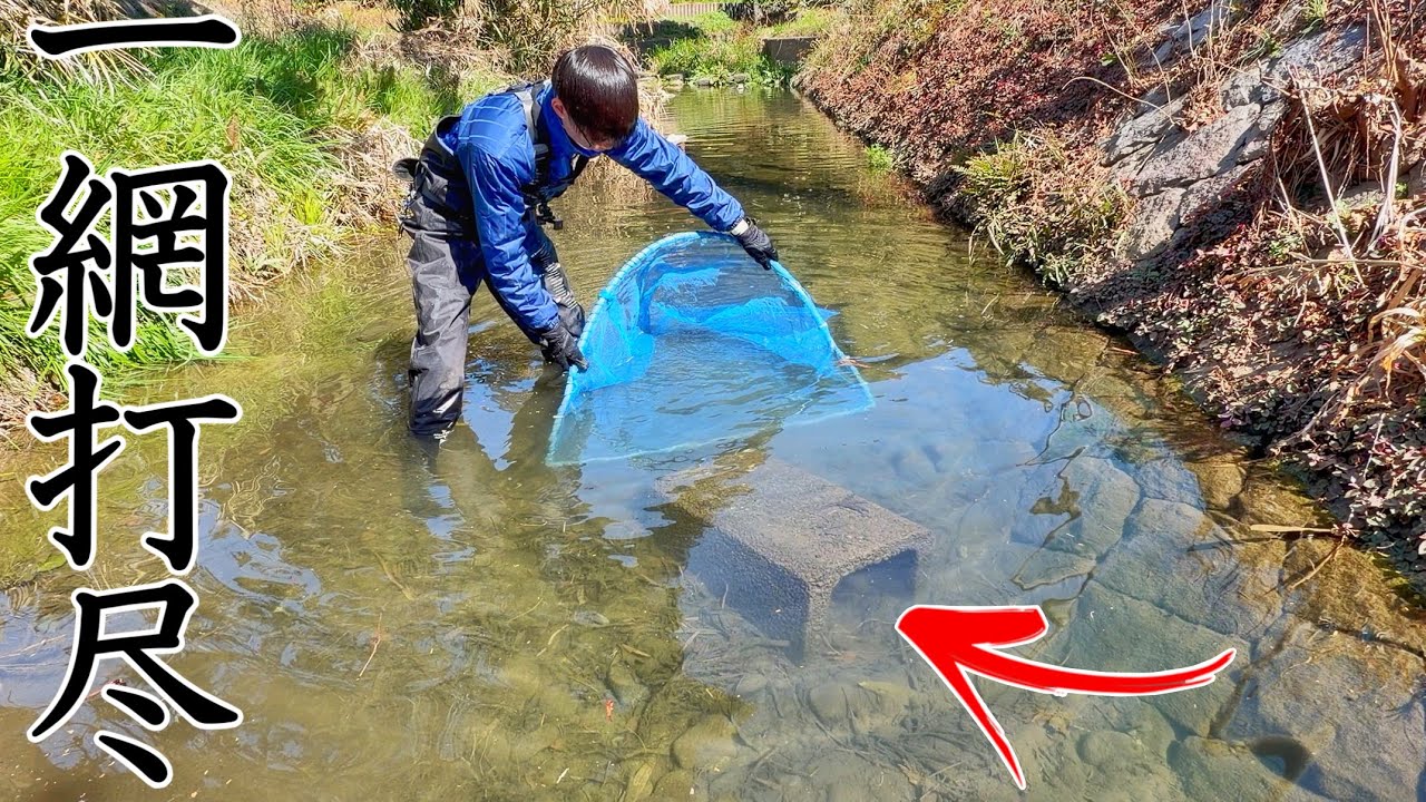土管の中にいる魚を完全包囲して乱獲しまくってみた