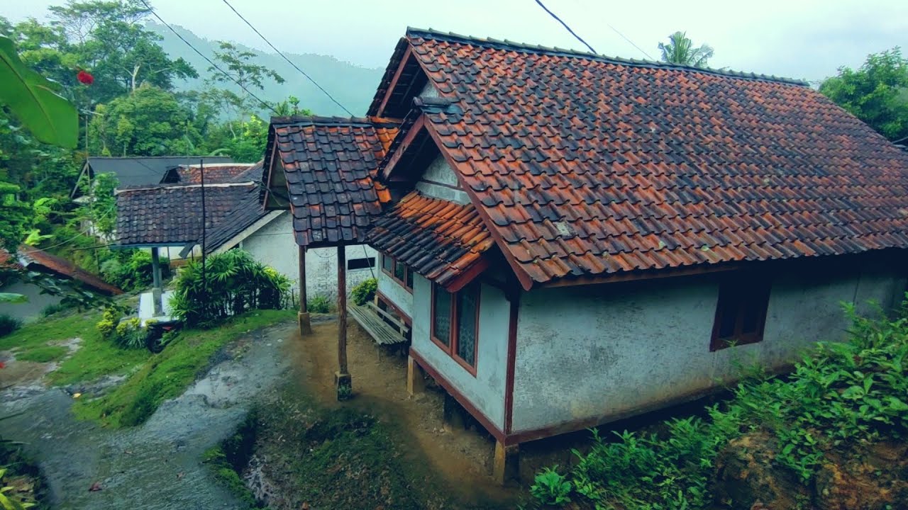 DIJAMIN BETAH 😍 SUASANA KAMPUNG KETIKA TURUN HUJAN ☔