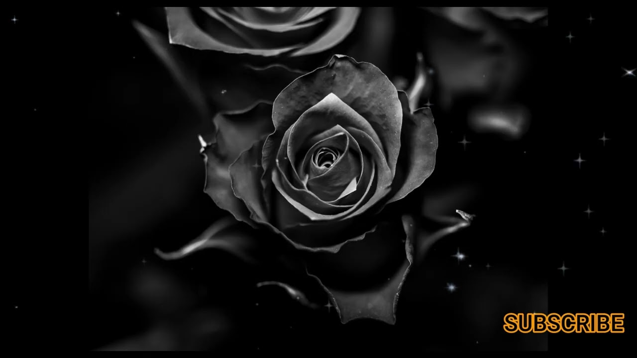 EMOTIONAL SAD BEAT