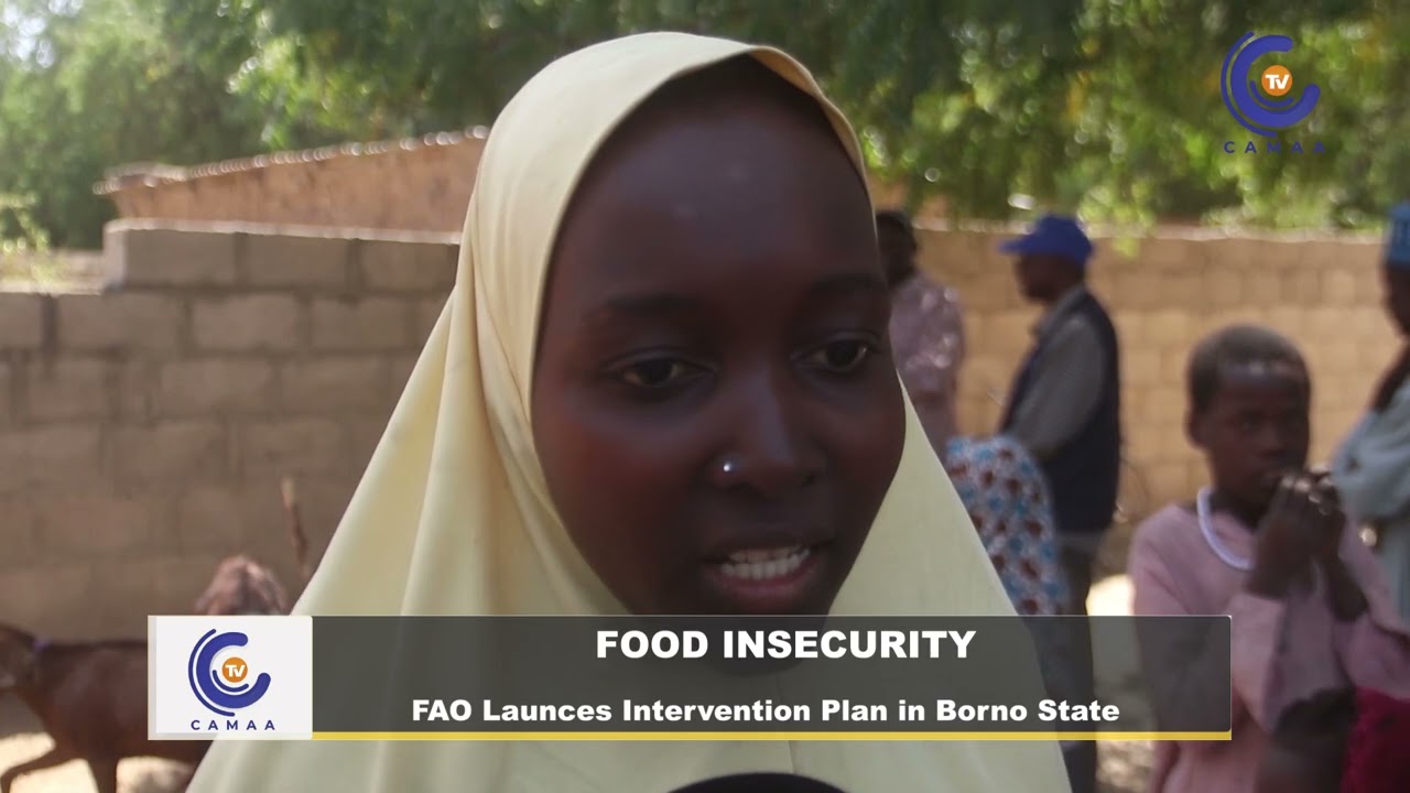 FOOD INSECURITY: FAO Launces Intervention Plan in Borno State