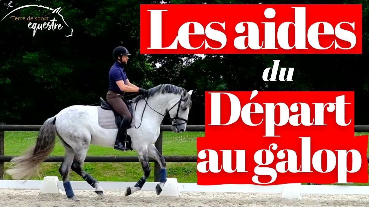 Les aides du départ au galop
