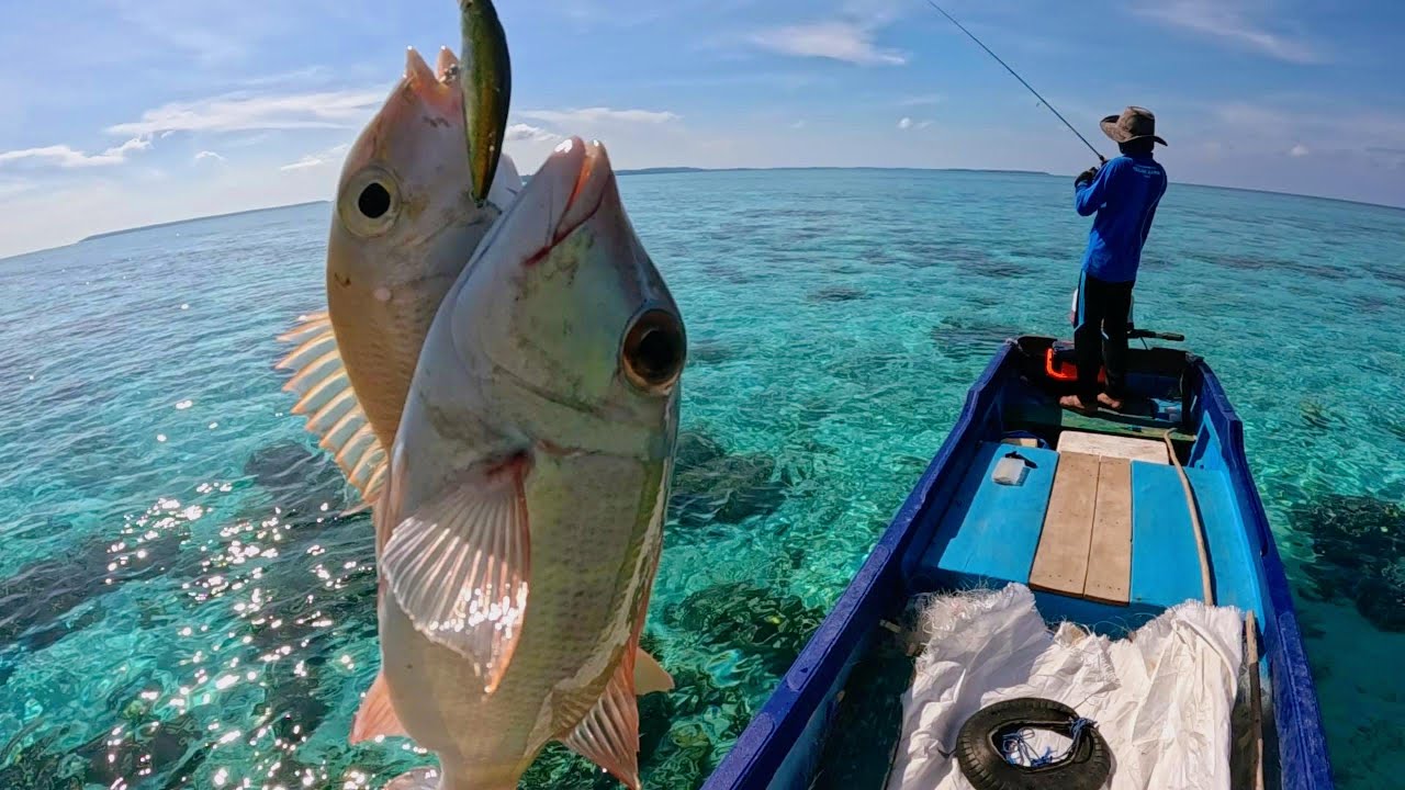 Casting UL Pinggiran, Satu Umpan Dapat Dua Ikan, Spot Andalan Karang Dangkal