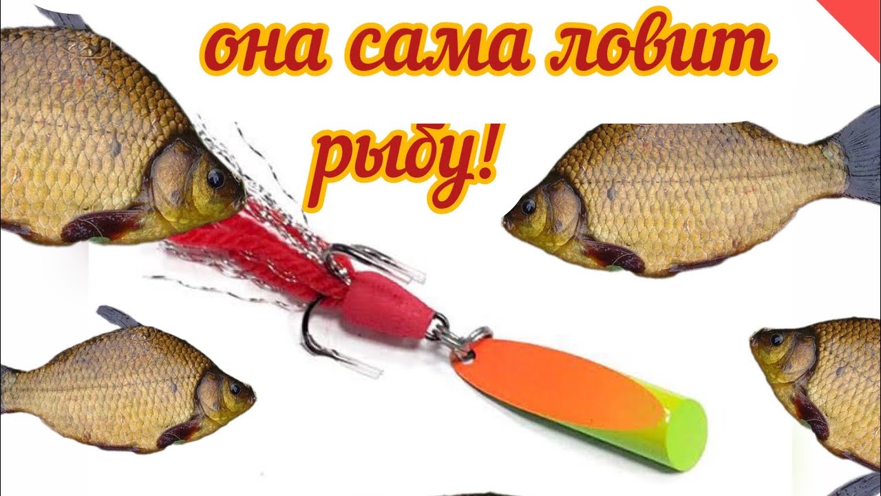 ШОК!!!!!Карась как из пулемёта рыбалка на Грушку