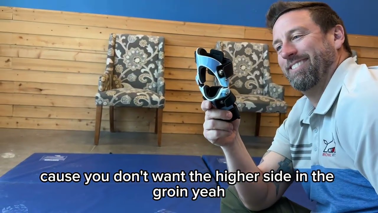 How to Properly Fit a Stifle Knee Brace? | Bionic Pets Guide