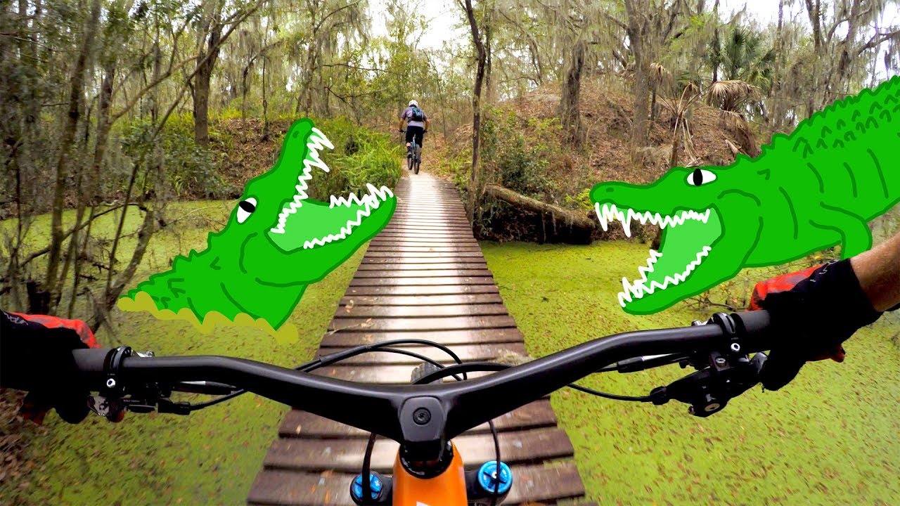 On the hunt for trail gators | Mountain Biking Alafia State Park in Florida