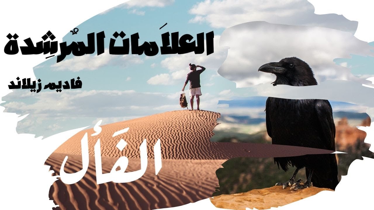 العلامات المرشدة / تيار الاحتمالات فاديم زيلاند