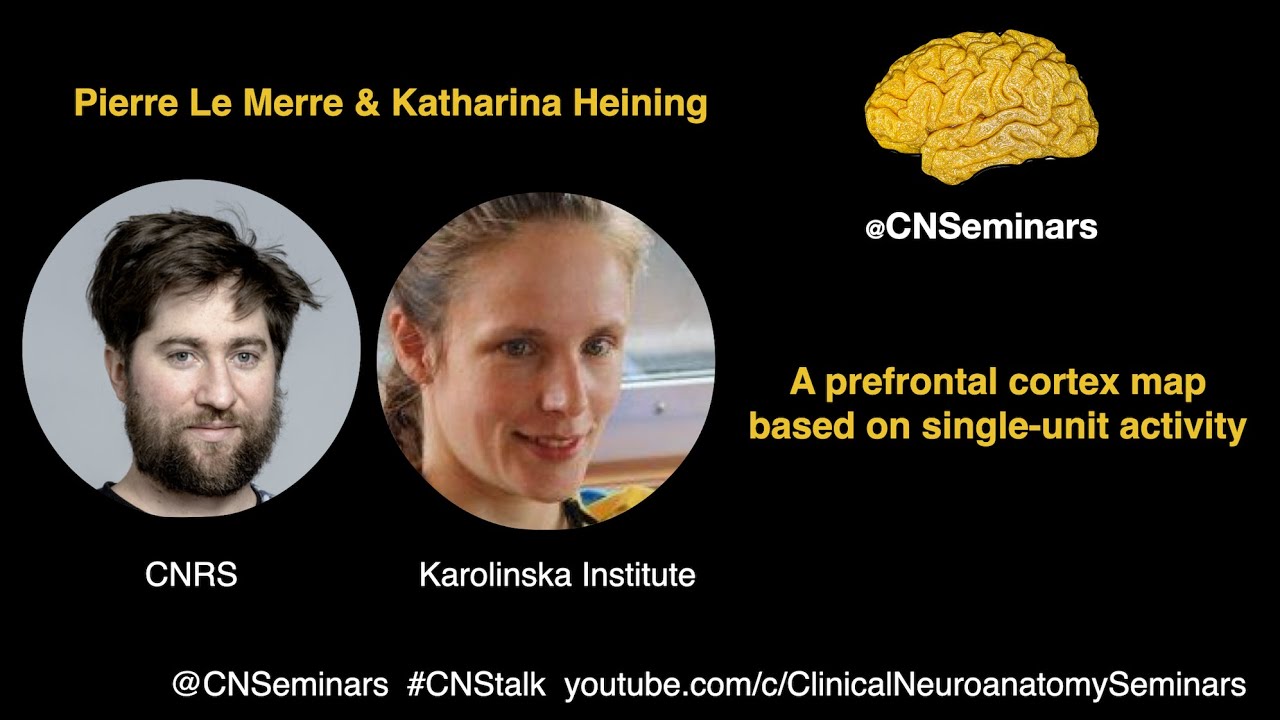 Pierre Le Merre & Katharina Heining - A prefrontal cortex map based on single-unit activity