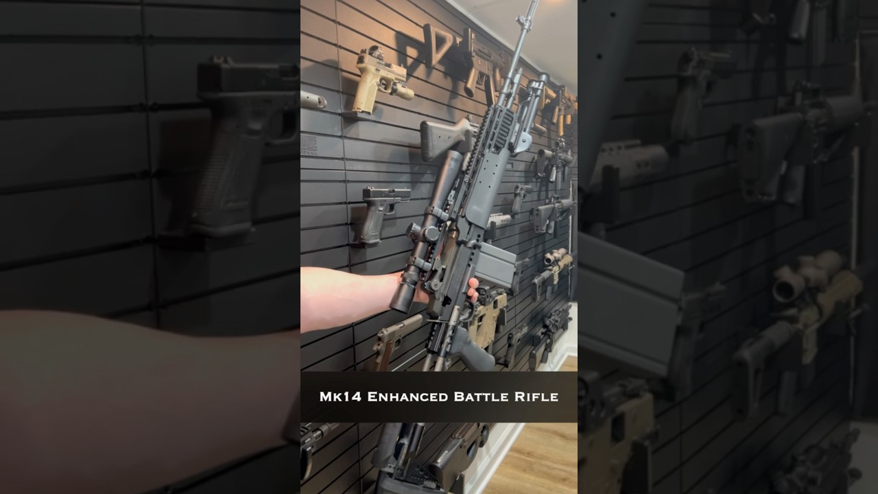 Mk14 EBR - A modern M14 #militaryhistory #historyshorts