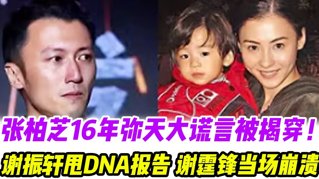张柏芝16年弥天大谎言被揭穿！谢振轩甩DNA报告，谢霆锋当场崩溃跪地：我不是人#張柏芝#謝霆鋒#謝賢#王菲#謝振軒#謝振南#小Q#Lucas
