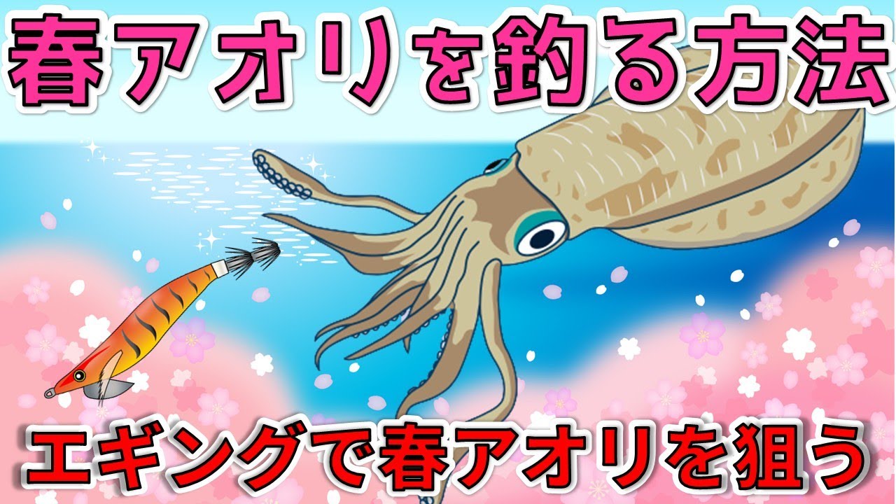 【春イカを釣る方法】エギングでアオリイカを釣る基本８選【Update版】