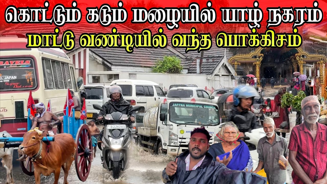 🛑கொட்டும் மழையில் யாழ் நகரம் படு மோசம்! திடீரென மாட்டு வண்டியில் வந்த பொக்கிசம்