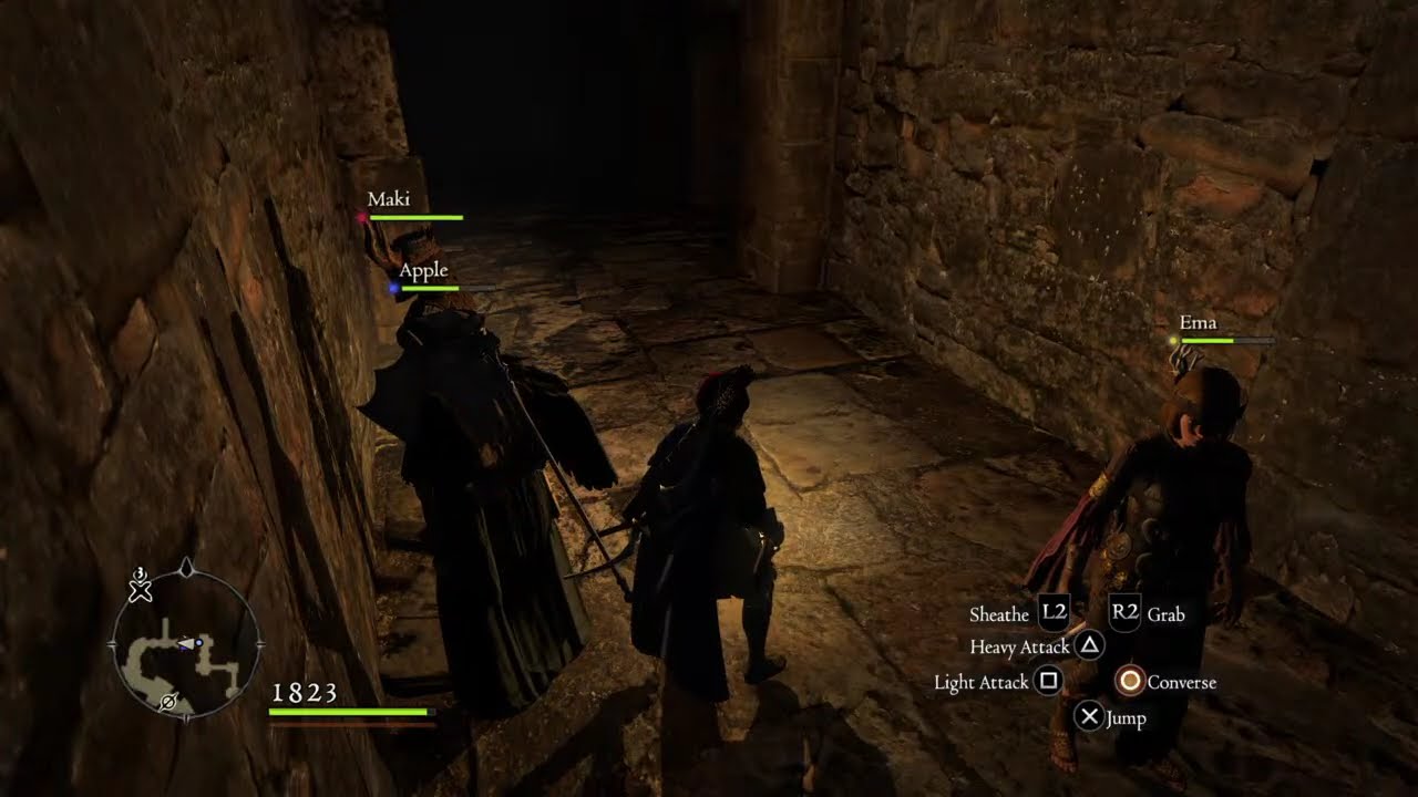 BORA DE DRAGON`S DOGMA DARK ARISEN