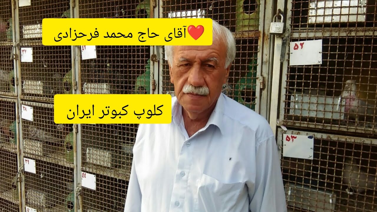 ❤️16تیر 1402تهران پرواز روز مسابقه گرو 1211 کبوتر آقای حاج محمد فرحزادی از تهران iranian high flyers