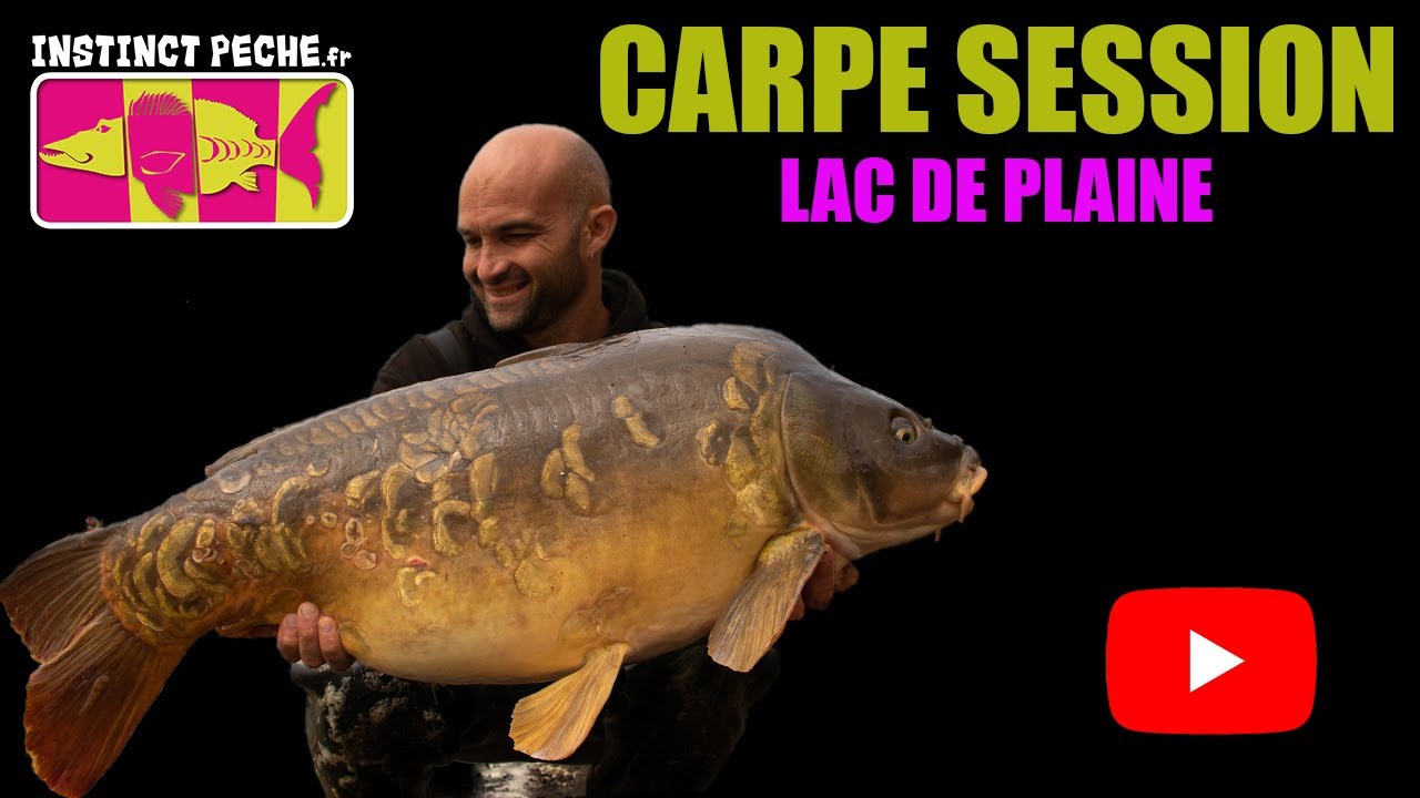 CARPE SESSION 