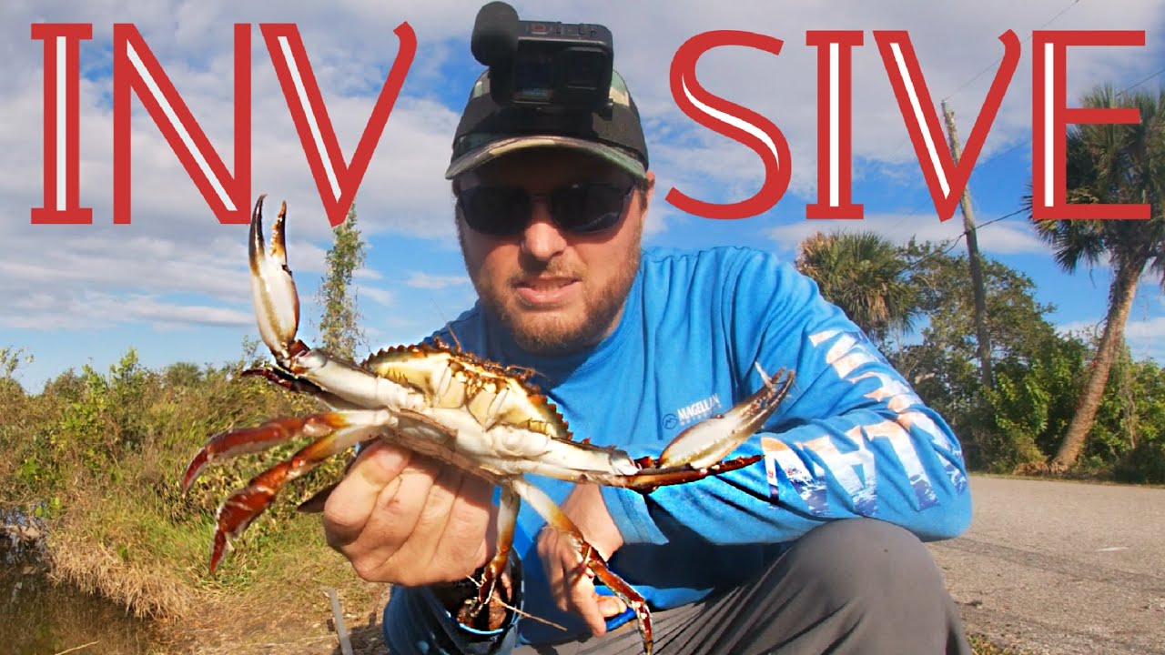 I Used Ai to Find Crabbing Spots & Had The Weirdest Day Ever!