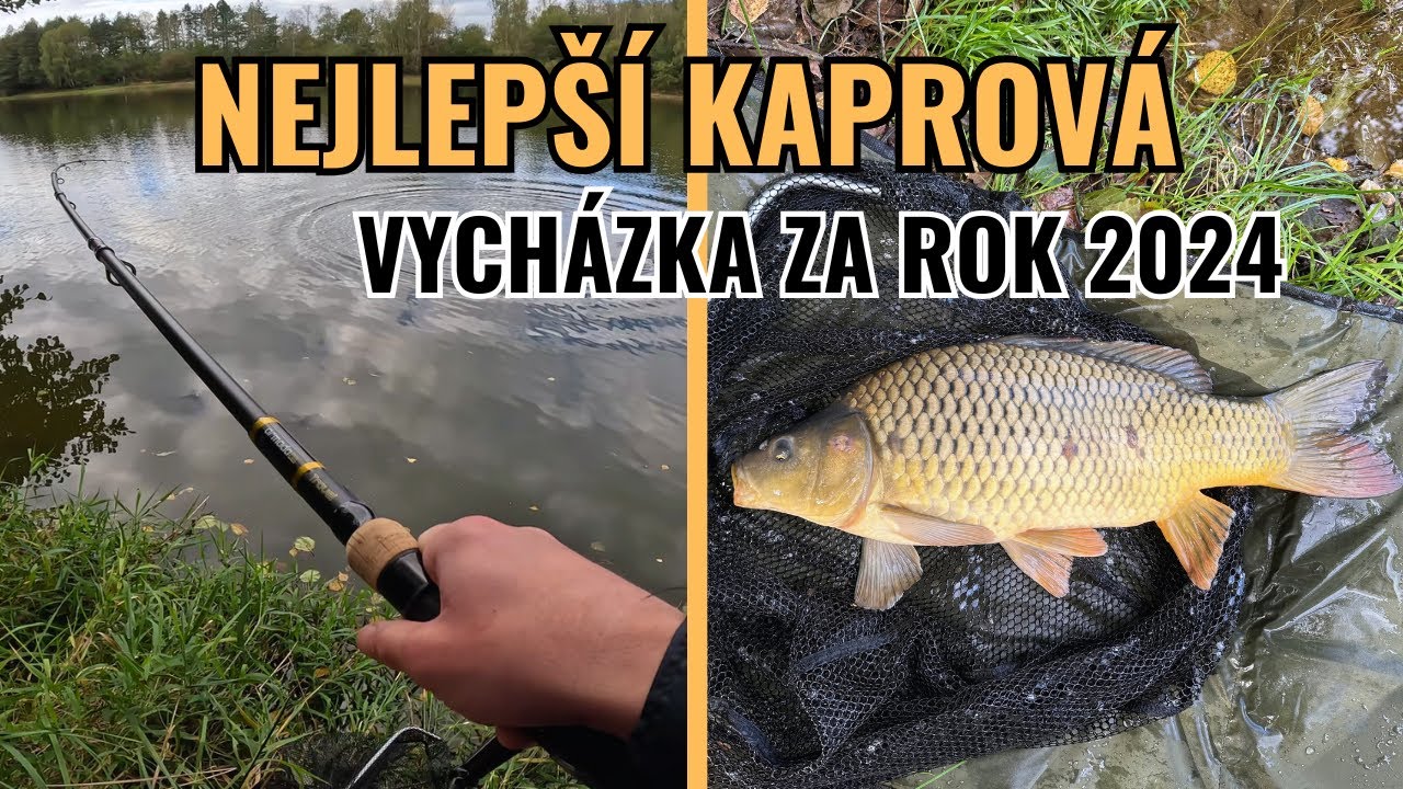 Moje NEJLEPŠÍ kaprová vycházka za rok 2024! | Podzimní lov KAPRŮ na položenou