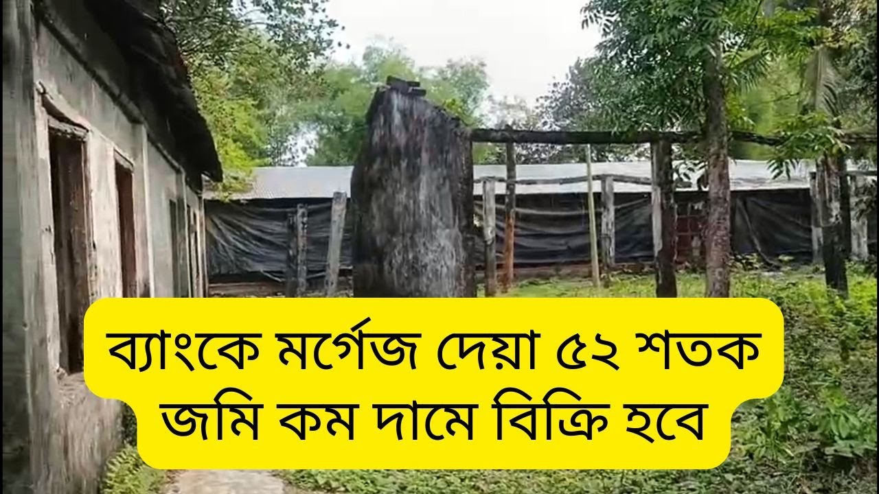 রাস্তার পাশে পোল্ট্রি গরুর সেডসহ ব্যাংকে মর্গেজ দেয়া কম দামে উঁচু জমি বিক্রি |  real estate