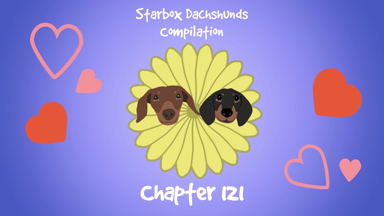 Starbox Dachshunds Compilation Chapter 121