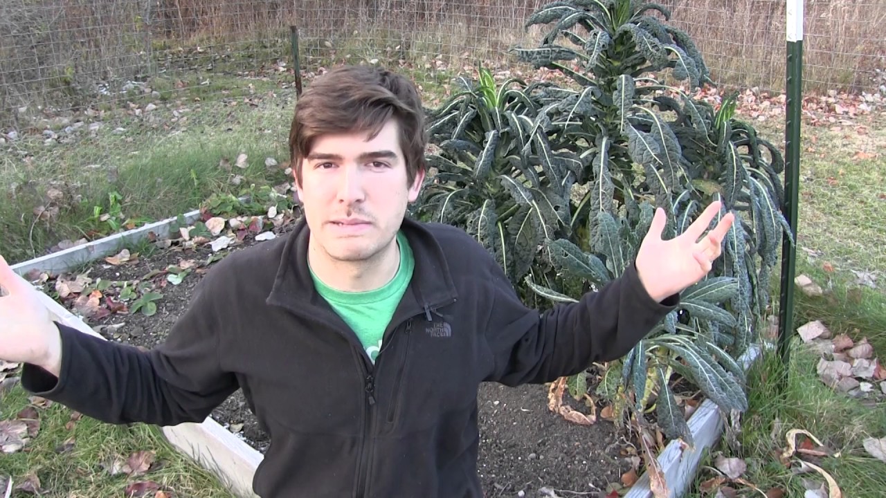 What Makes Good Mulch & The Importance of Mulching