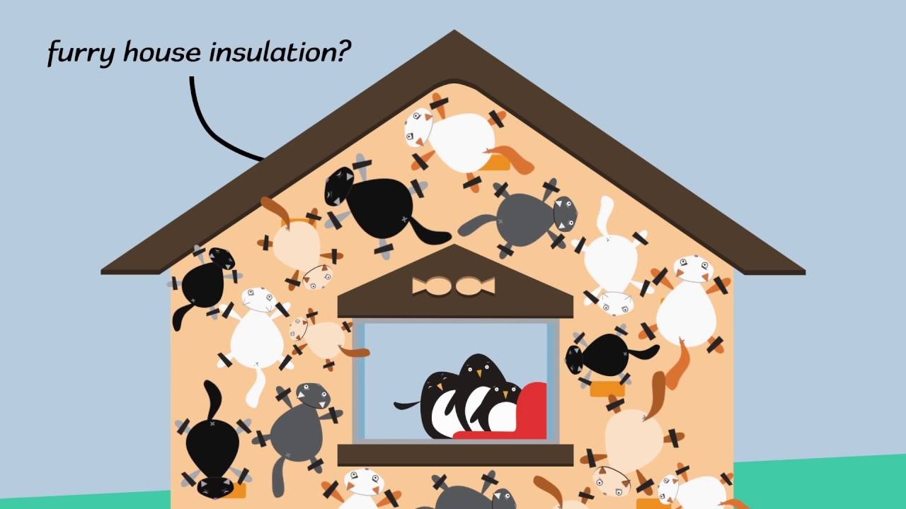 The nature of insulation