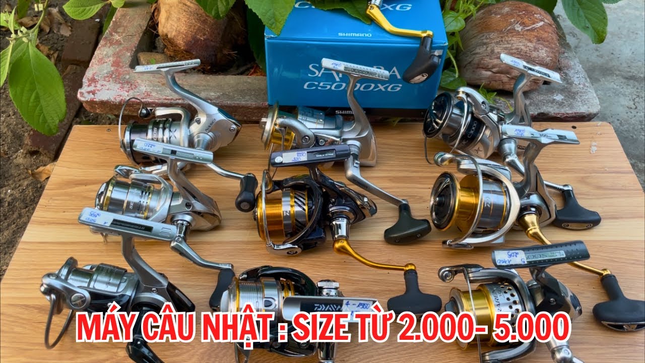 Máy Câu Nhật Bản : Stradic, Reranium, Sahara, Biomaster, Sz Từ 2000-5000 - Video 1239