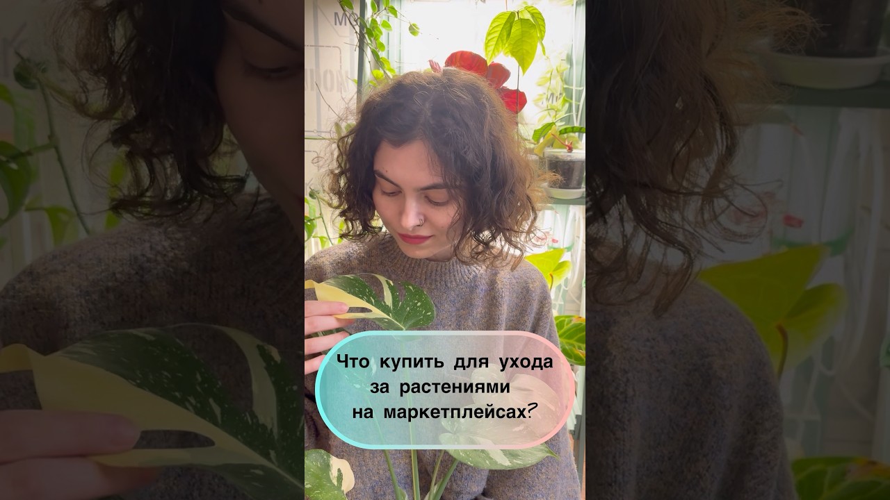 Лучшие покупки для растений на маркетплейсах 🛍️  #plants #цветы #сад #садоводничество
