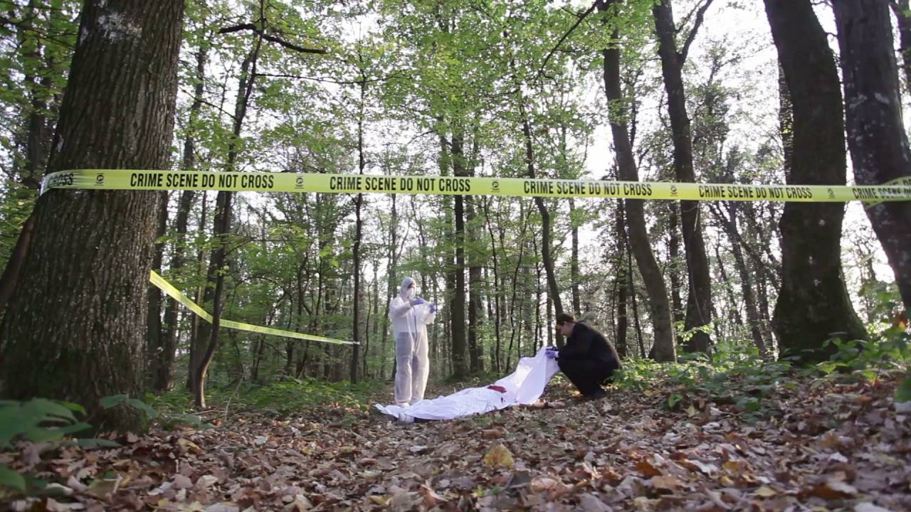Crime Scene--Escape Games Worcester Trailer