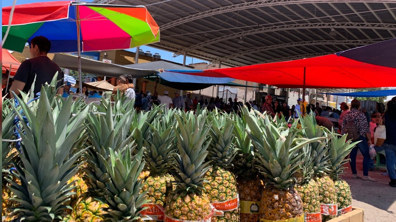 Con tanto calor esperamos MÁS LLUVIAS EN VALPARAÍSO ZACATECAS 2025