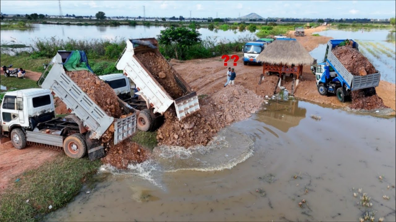 Starting Perfect PROJECT!! 5-T Dump Truck Overloading Soils Into Water & Dozer Pushing To Delete it