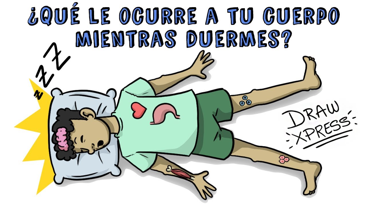 ¿QUÉ HACE NUESTRO CUERPO MIENTRAS DORMIMOS? | Draw My Life