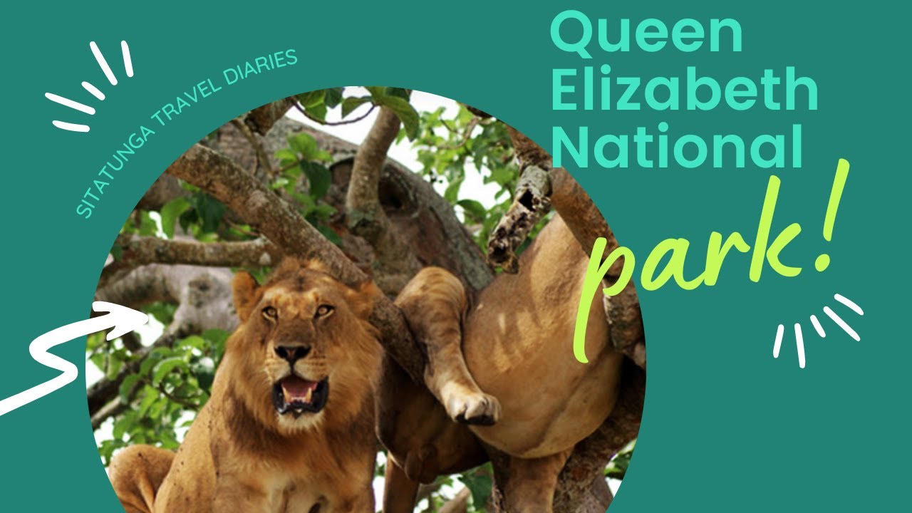 Queen Elizabeth National Park  - Uganda