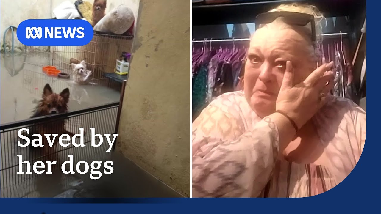 Australian survives Bali floods, says her dogs helped saved her life | The World | ABC News