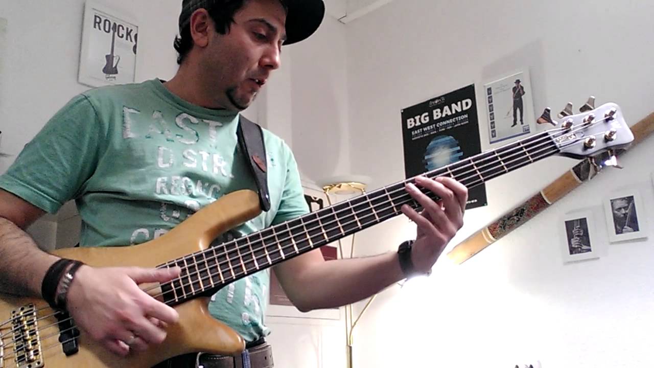 Dimitar Bonev - FUNK BASS LOOPS [Warwick Streamer LX 5]