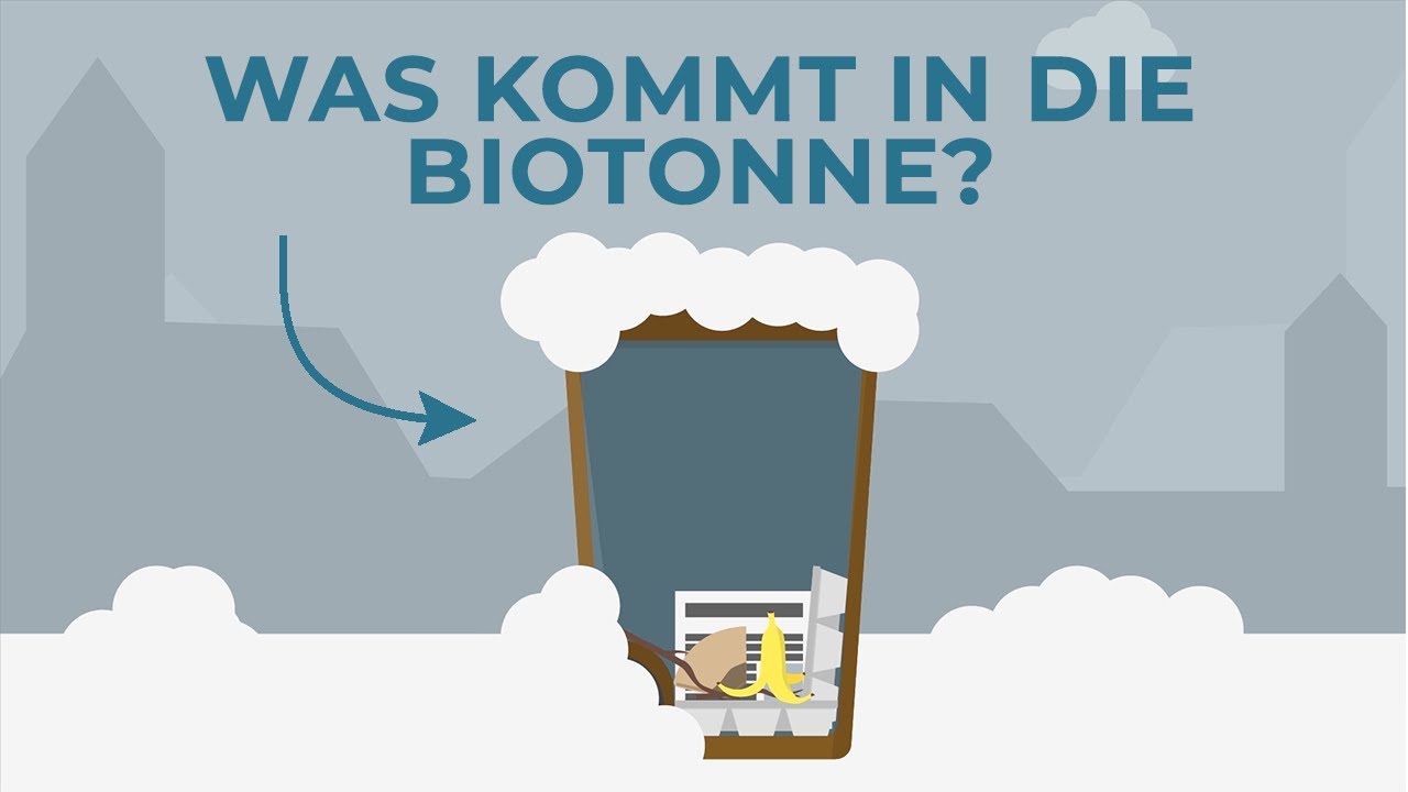 Biom&uuml;ll entsorgen - Das kommt in die Biotonne! | Erkl&auml;rhelden