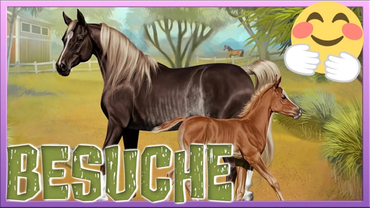 Ich BESUCHE eure STÄLLE 😍 Horse Reality #92