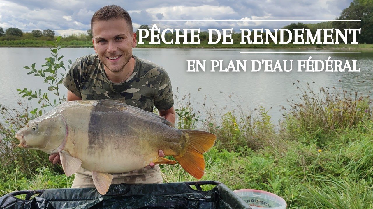 Pêche de rendement en plan d'eau fédéral (du fish, du fish et encore du fish)