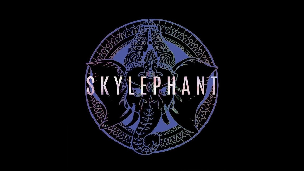 Skylephant - The Fire Tower - Live at South Street