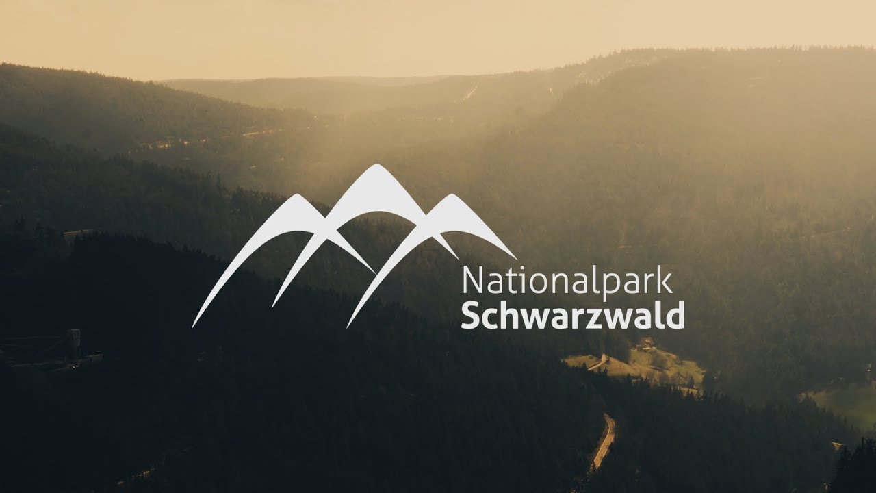 Raumanalyse &uuml;ber den Nationalpark Schwarzwald