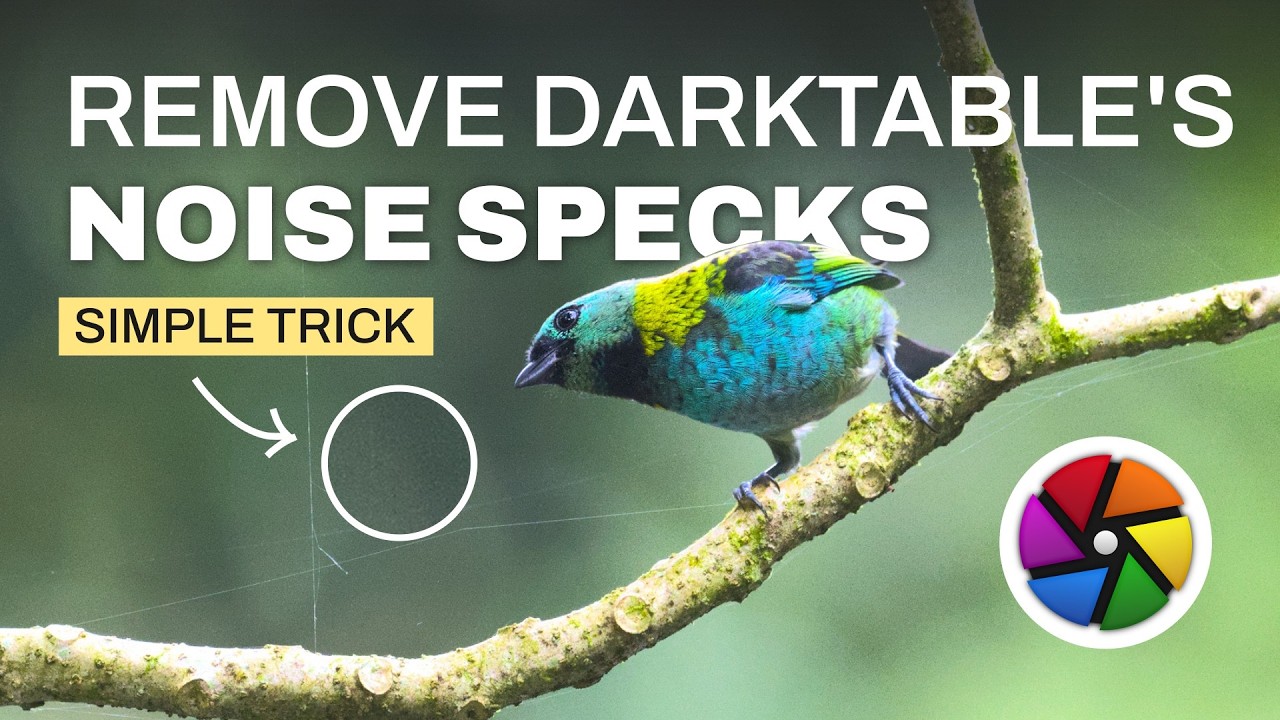 Darktable's Denoising: Noise Specks? Remove with Rawtherapee!